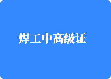 日逼逼视频快点要要要要要要要焊工中高级证