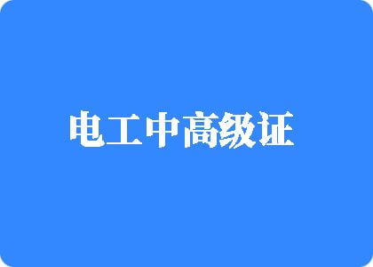 大鸡巴免费播放片电工中高级证